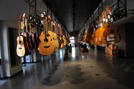 Гитары в магазине Мир Музыки на Литейном