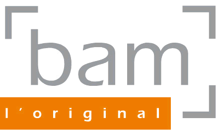 Логотип BAM