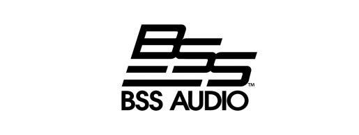 Логотип BSS