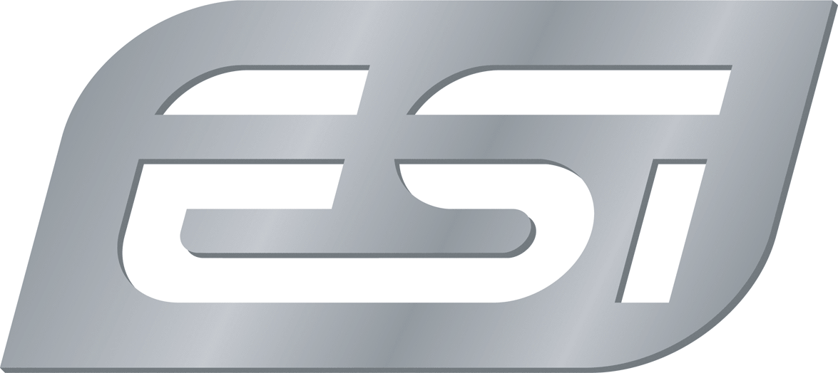 Логотип ESI