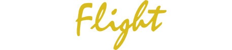Логотип FLIGHT