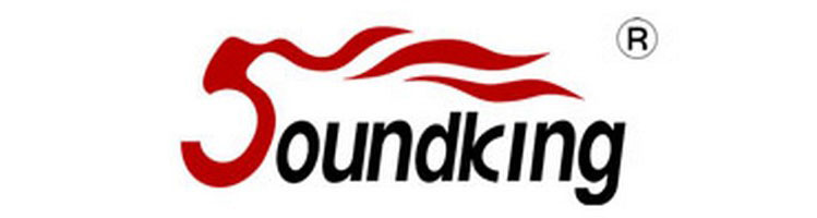Логотип Soundking