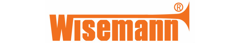 Логотип WISEMANN