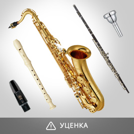 Духовые инструменты (уценка)