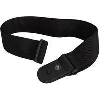 Planet Waves PWS-100