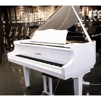 Рояль PianoDisc PD62WP + AV570