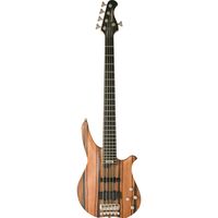 5-струнная бас-гитара Washburn CB5 QB