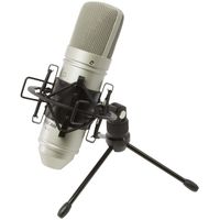 Конденсаторный микрофон Tascam TM-80