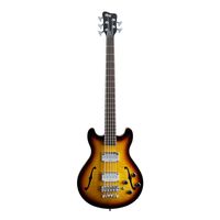 Полуакустическая бас-гитара 5-струн Warwick STAR BASS 5 VST HP