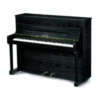 Пианино Sauter Carus 112 Ash Black Satined