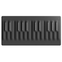 MIDI-клавиатура Roli Seaboard Block