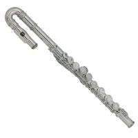 Флейта ROY BENSON FL-102