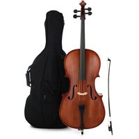 Виолончель R. Paesold AS-190-C-1/2