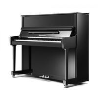 Пианино Ritmuller RS122(A111)