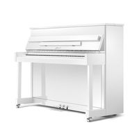 Пианино Ritmuller EU122 (A112)