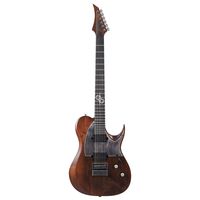 Гитара электрическая Solar Guitars T1.6D