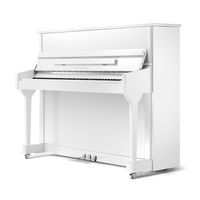 Акустическое пианино Ritmuller RS118(A112)