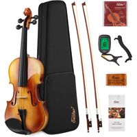 Скрипка 4/4 в комплекте с аксессуарами Eastar EVA-330
