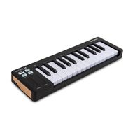  Arturia MicroLab 3 Black