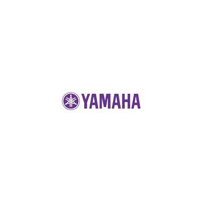 Диски к дисклавирам Yamaha ДИСКИ1