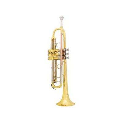 Труба Bb Bach TR500(D)
