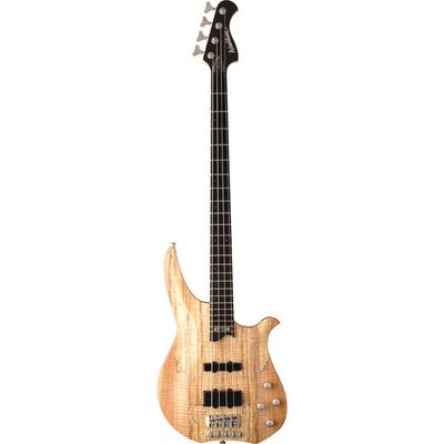 5-струнная бас-гитара Washburn CB14Z