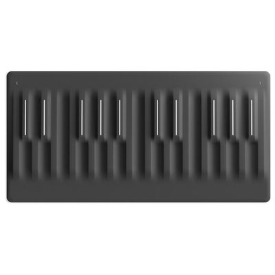 MIDI-клавиатура Roli Seaboard Block