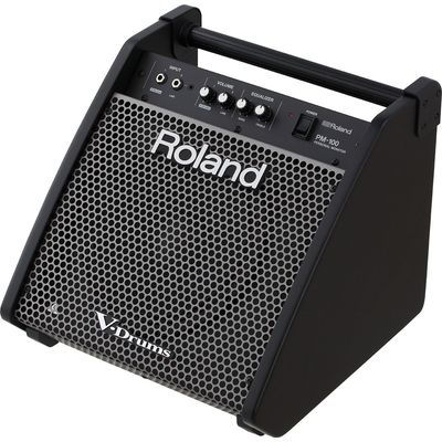 Аудио-монитор Roland PM-100