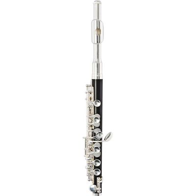 Флейта-пикколо Arnolds&Sons APC-107