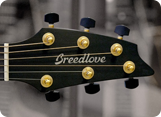 Поступление гитар Breedlove в Мир Музыки
