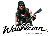 О гитаре Washburn Nick Catanese