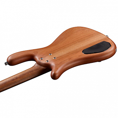 5-струнная бас-гитара Warwick Streamer LX 5 N TS