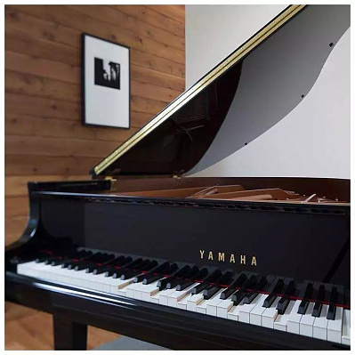 Дисклавир Yamaha DGB1K ENST PE