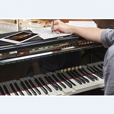 Дисклавир Yamaha DGB1K ENST PE