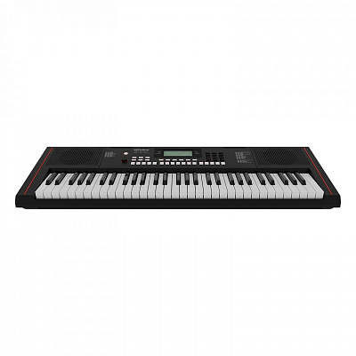 Синтезатор с автоаккомпанементом Roland E-X10