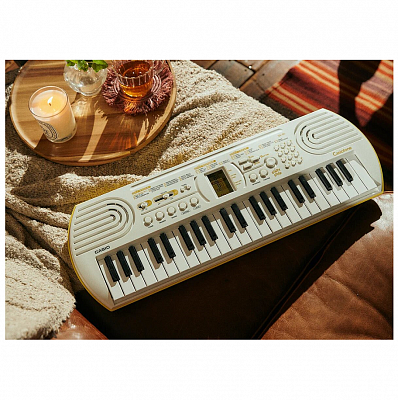 Синтезатор с автоаккомпанементом Casio SA-80