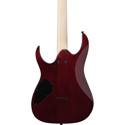 Электрогитара Ibanez GRGR221PA-AQB