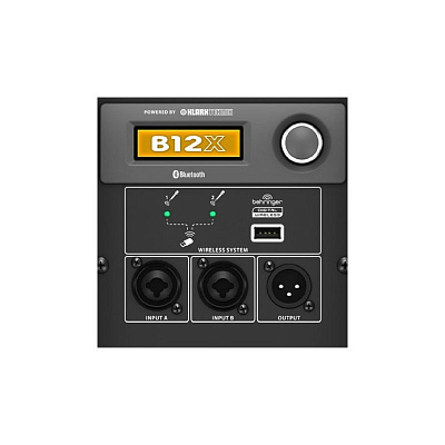 Активная акустическая система Behringer B12X