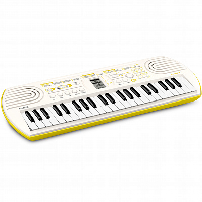 Синтезатор с автоаккомпанементом Casio SA-80
