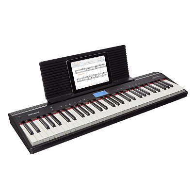 Цифровые пианино Roland GO-88P