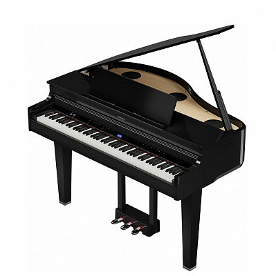 Цифровой рояль Roland GP 6 PE