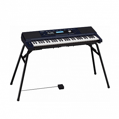Синтезатор с автоаккомпанементом Roland E-X30