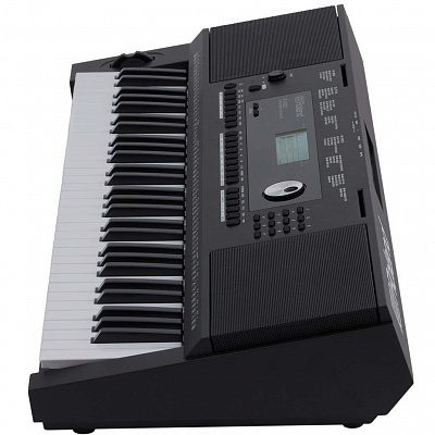 Синтезатор с автоаккомпанементом Roland E-X20