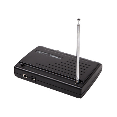 Радиосистема Pasgao PAW210/ PBT171 864,5MHz