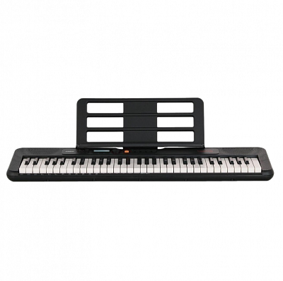 Синтезатор с автоаккомпанементом Casio CT-S195