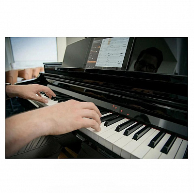 Цифровой рояль с банкеткой Yamaha CSP-295GP
