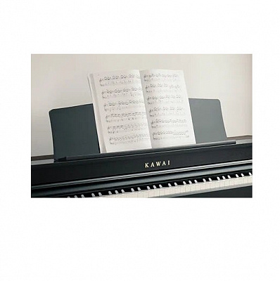 Цифровое пианино с банкеткой Kawai CN301R