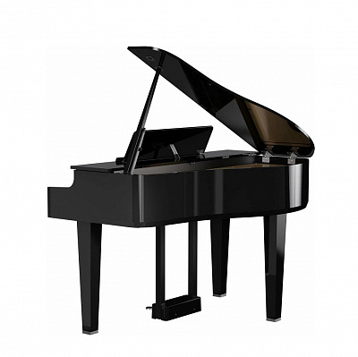 Цифровой рояль Roland GP 6 PE