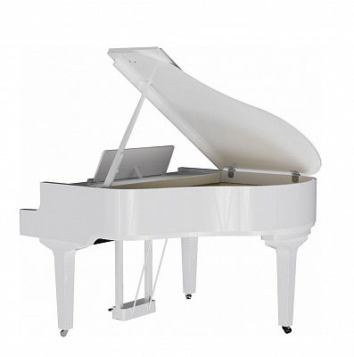 Цифровой рояль Roland GP 6 PW