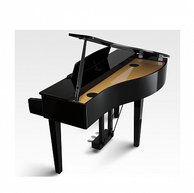 Цифровой рояль Kawai DG30 EP